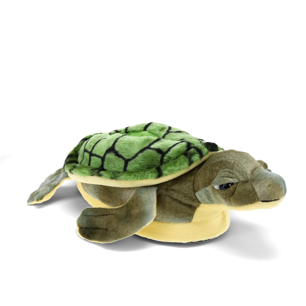 Turtle Slippers