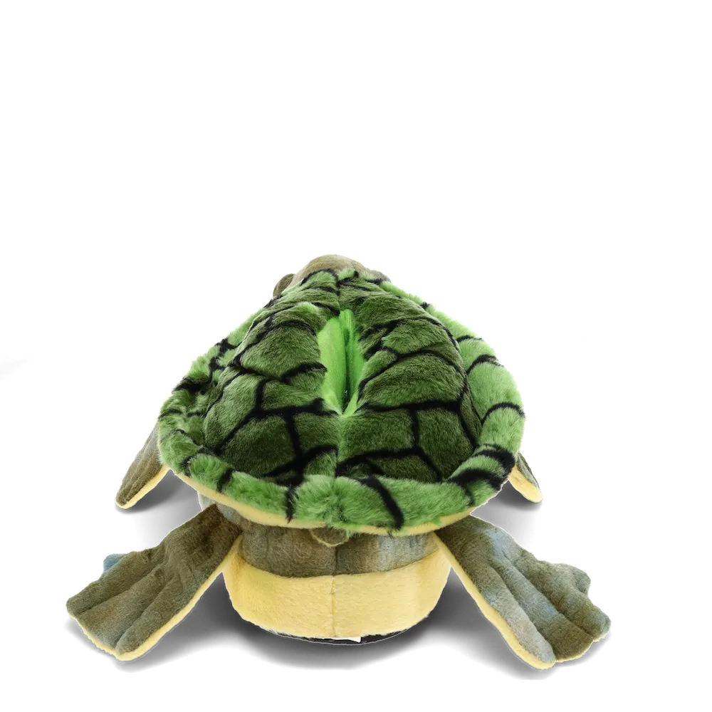 Turtle Slippers